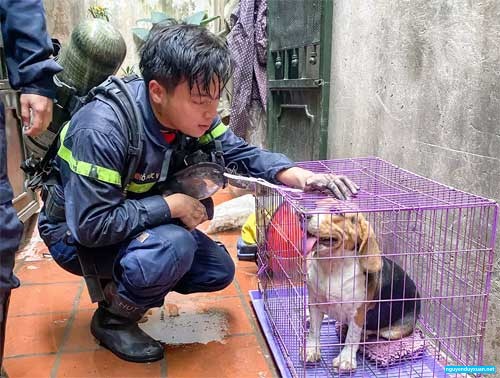 Trung úy Việt với câu chuyện cứu giúp chú chó trong vụ hỏa hoạn khiến nhiều người rơi lệ cảm phục - Ảnh: Facebook