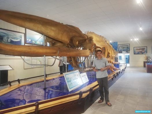 Tác giả bên Bộ xương cá voi tại Bảo tàng Viện Hải dương học Nha Trang